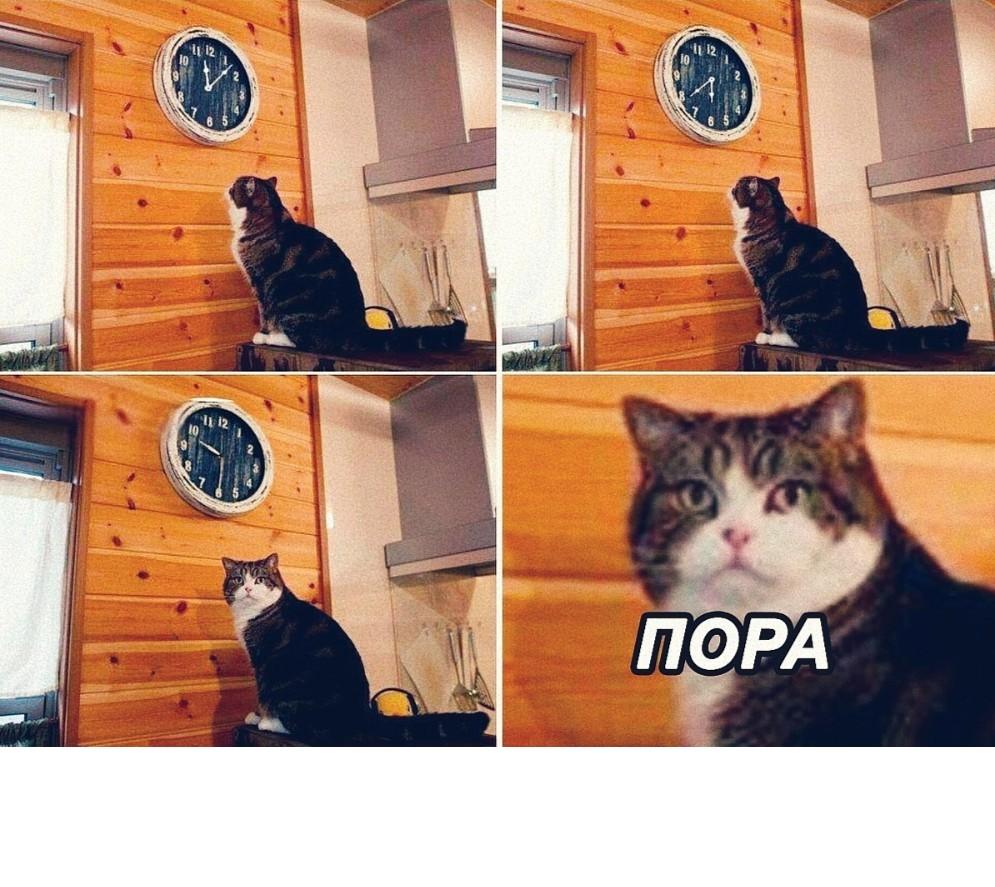 Image 4674
